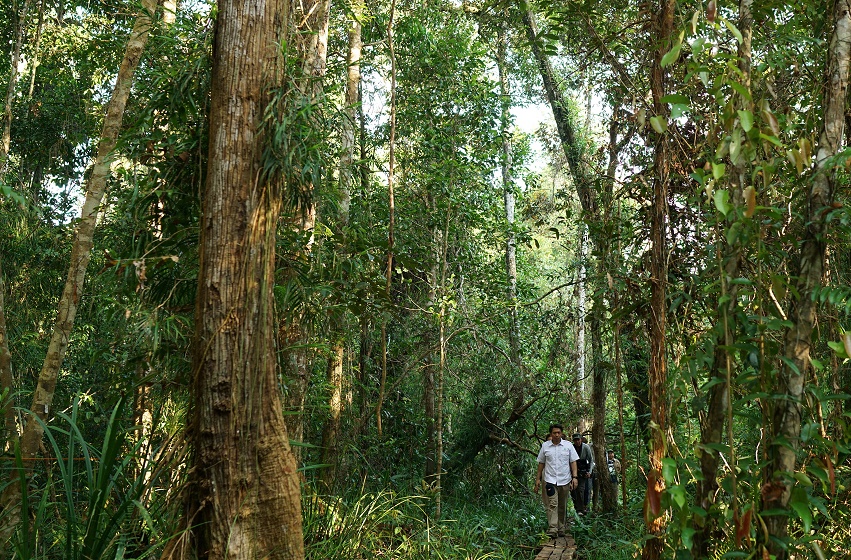 Hutan di Katingan, Kalimantan Tengah (Dok: RMU)