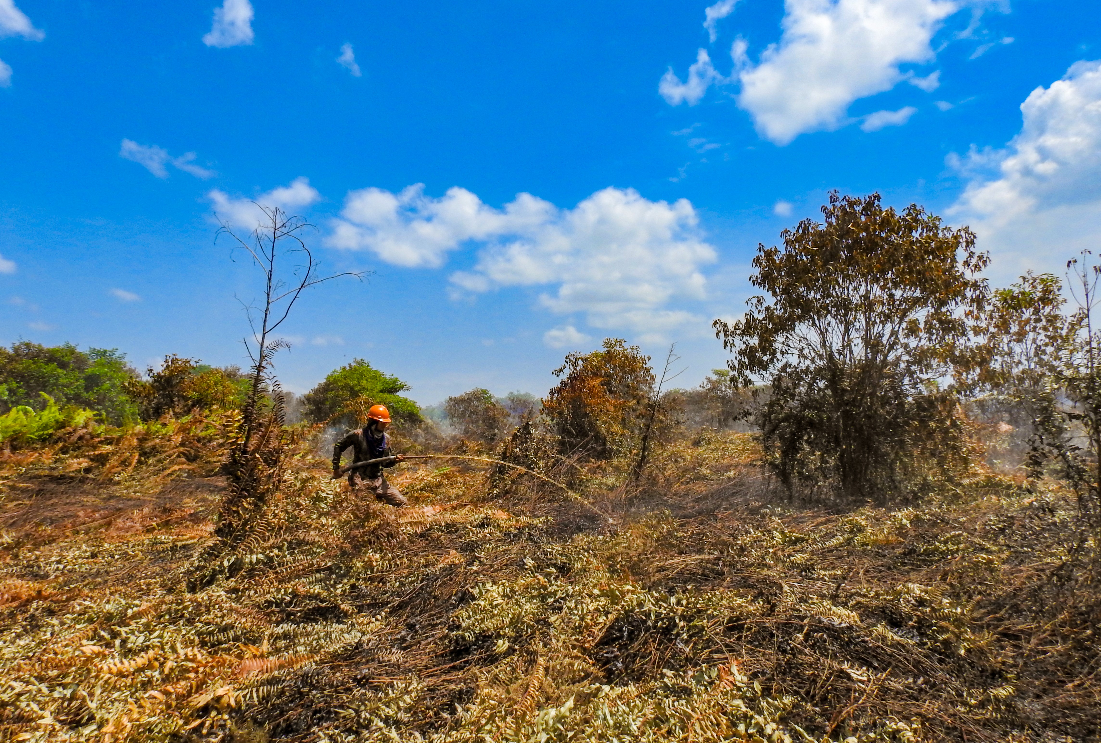 Petugas memadamkan api di lahan gambut areal konsesi PT Rimba Makmur Utama di Kalimantan Tengah, Juli 2019.