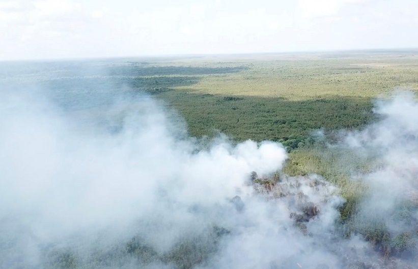 Kebakaran lahan gambut di Kalimantan, 2019.