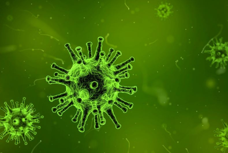 Virus corona (Foto: Pixabay)