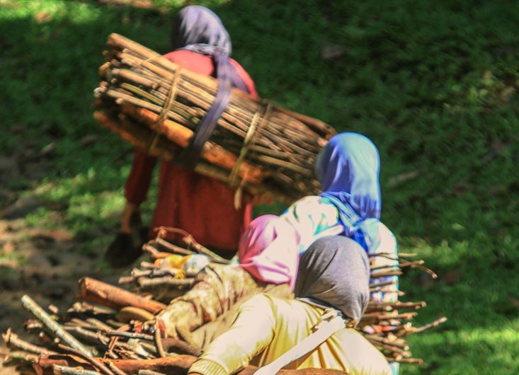 Masyarakat desa di sekitar hutan pendidikan Gunung Walat Sukabumi, Jawa Barat, membawa kayu bakar.