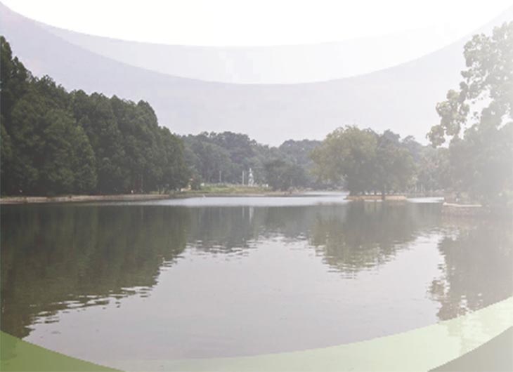 Situ Gede di areal hutan penelitian Darmaga Bogor, Jawa Barat.