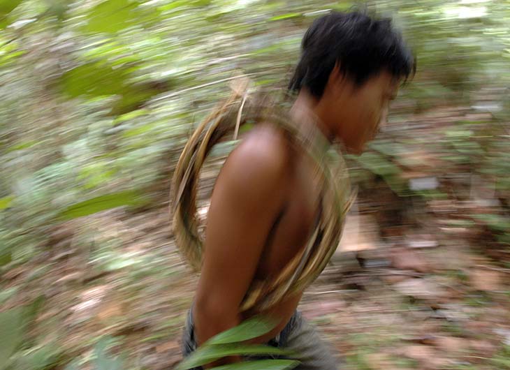 Masyarakat adat suku Batin Sembilan sedang mengambil rotan di Hutan Harapan Jambi (Foto: Asep Ayat)