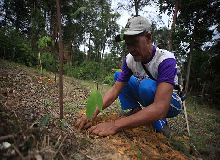 Seorang petani sedang menanam bibit pohon di areal restorasi PT Restorasi Ekosistem Indonesia di Jambi (Foto: Asep Ayat)