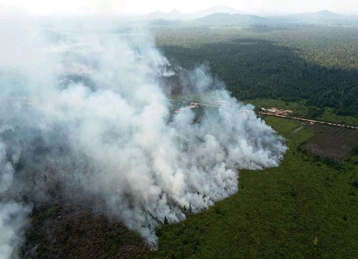 Kebakaran gambut di Kubu Raya, Kalimantan Barat.