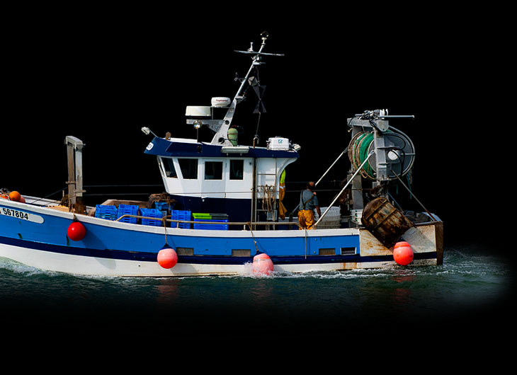 Kapal trawl (Dendoktoor/Pixabay)
