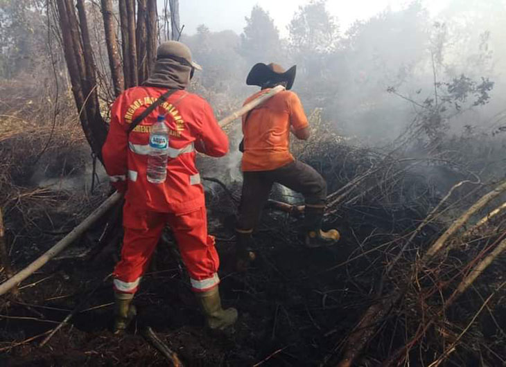 Pelatihan kebakaran hutan. (Foto: Istimewa)