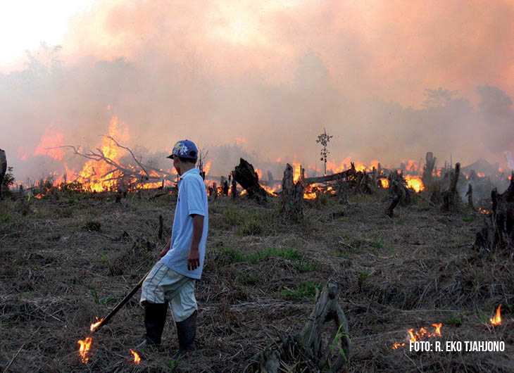 Seorang petani sedang membakar ladang di Jambi.
