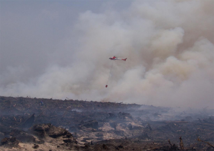 Sebuah helikopter sedang memadamkan api di Kalimantan (Foto: Bambang Hero Saharjo)