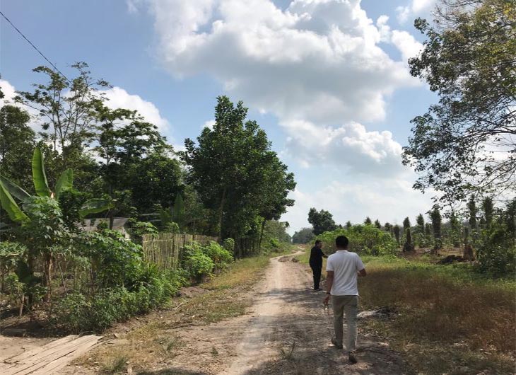 Hutan Tanaman Rakyat di Desa Lubuk Seberuk, Ogan Komering Ilir, Sumatera Selatan.