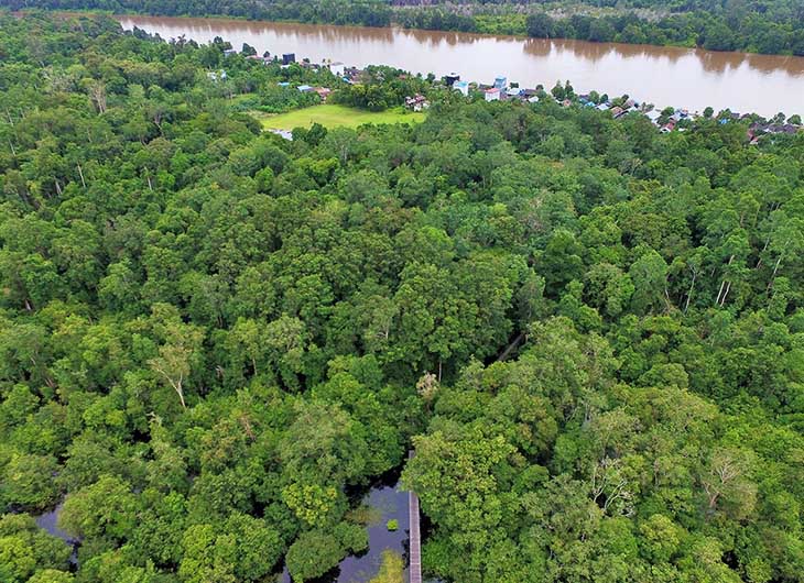 Kawasan restorasi ekosistem Katingan-Mentaya Project di Kalimantan Tengah yang berbatasan dengen permukiman penduduk (Foto: Dok. PT RMU)