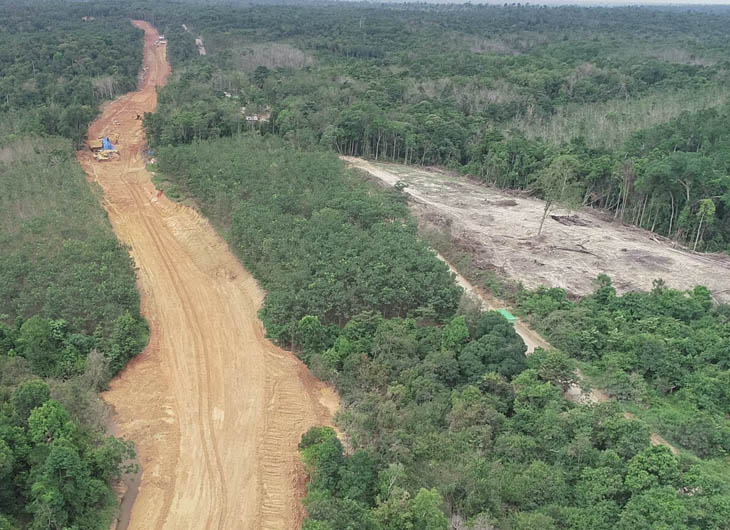 Jalan angkut batu bara di areal restorasi ekosistem Hutan Harapan, Jambi (Foto: Istimewa)