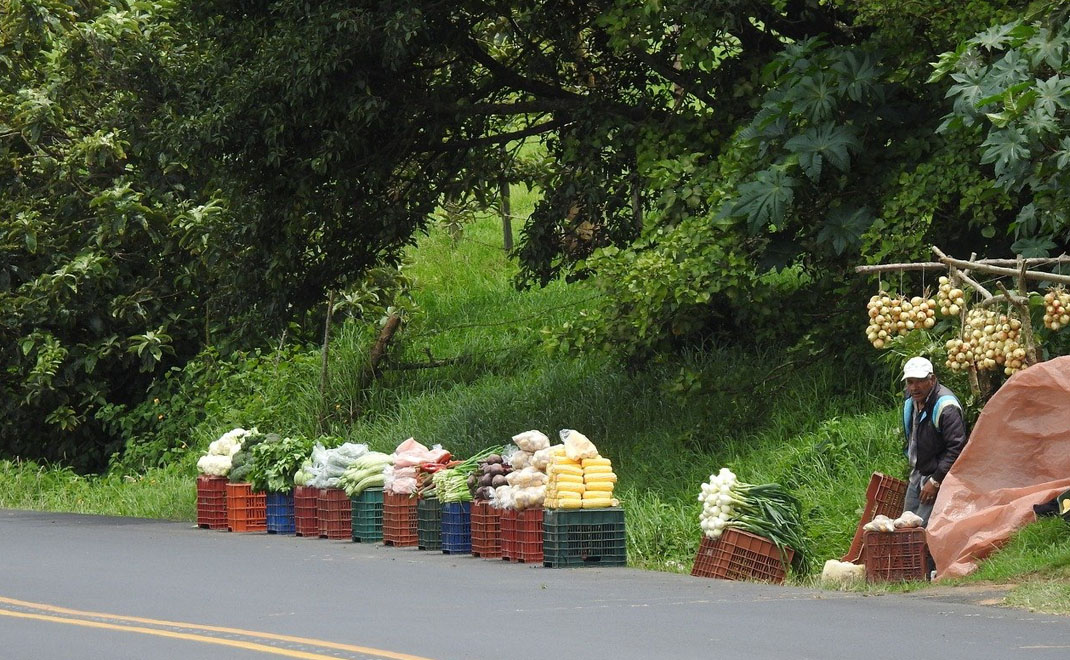 Petani Kosta Rika menjajakan hasil perkebunan di pinggir jalan (Foto: YeiFormatos/Pixabay)