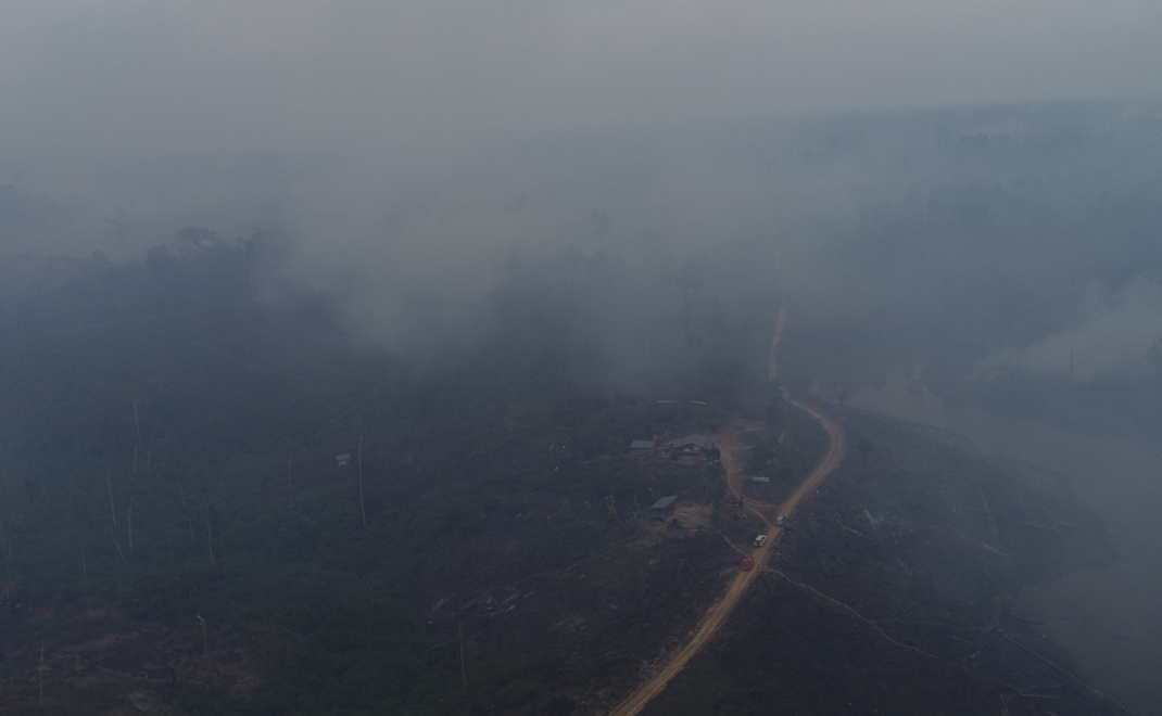 Kebakaran hutan September 2019 (Foto: Istimewa)