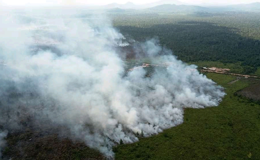 Kebakaran lahan gambut di Kalimantan (Foto: Istimewa)