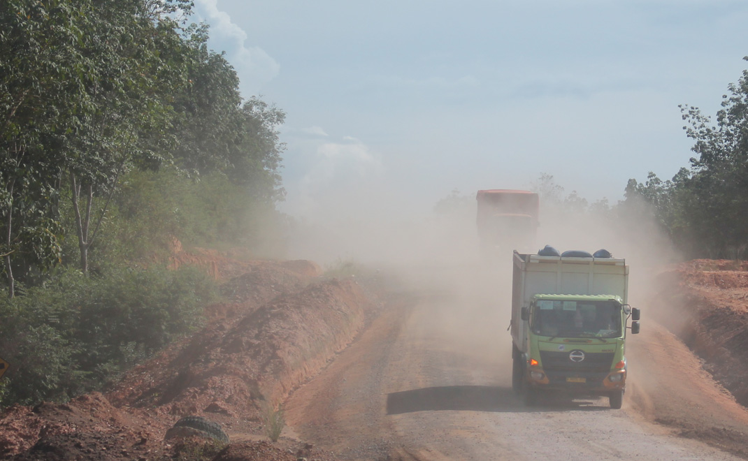 Jalan tambang batu bara di Jambi (Foto: Istimewa)