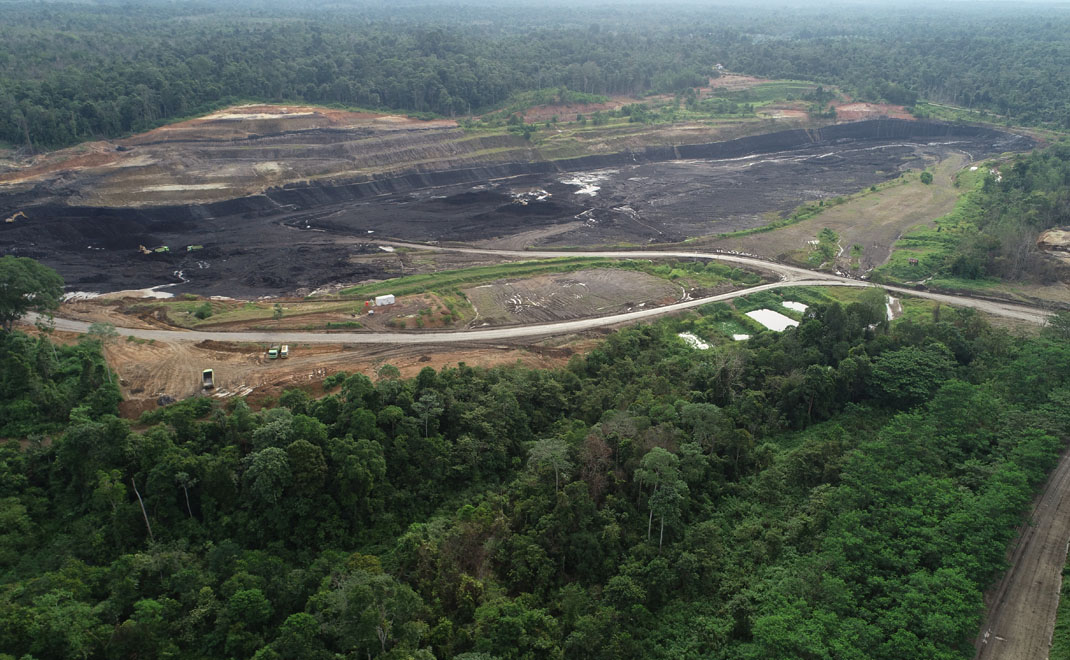 Pertambangan batu bara di Jambi (Foto: Istimewa)