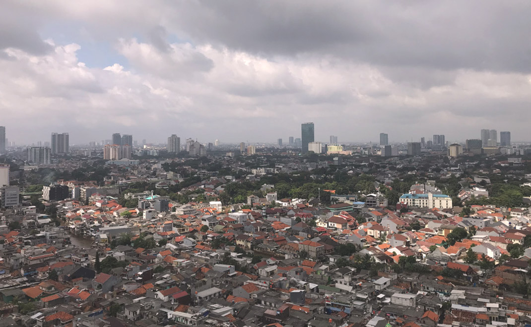 Ruang hijau Jakarta tersisih oleh ruang permukiman manusia (Foto: Dok. FD)