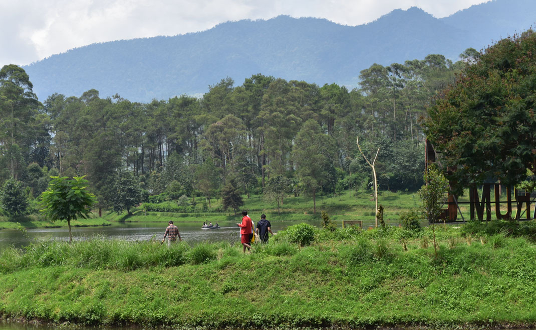 Hutan di sekitar situ Cisanti yang menjadi hulu daerah aliran sungai (DAS) Citarum di Jawa Barat (Foto: Rifqy Fauzan/FD)