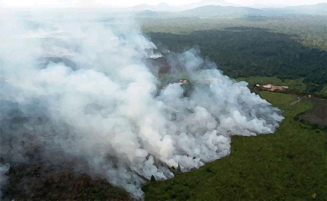 Hutan primer tropis berkurang