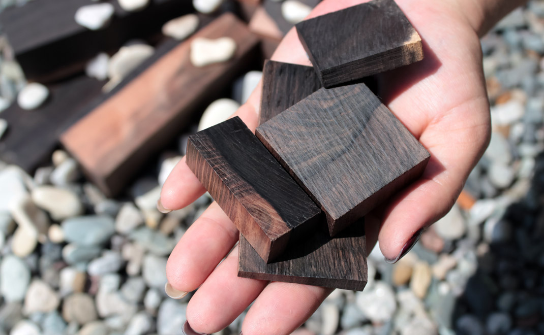 Kayu eboni, kayu langka dari Sulawesi (Foto: Shutterstock)