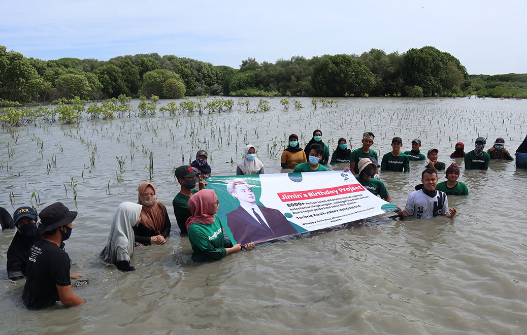 Fans BTS menanam mangrove di Pantai Bedono Demak, Jawa Timur, untuk memperingati ulang tahun Jimin (Foto: Lindungi Hutan)