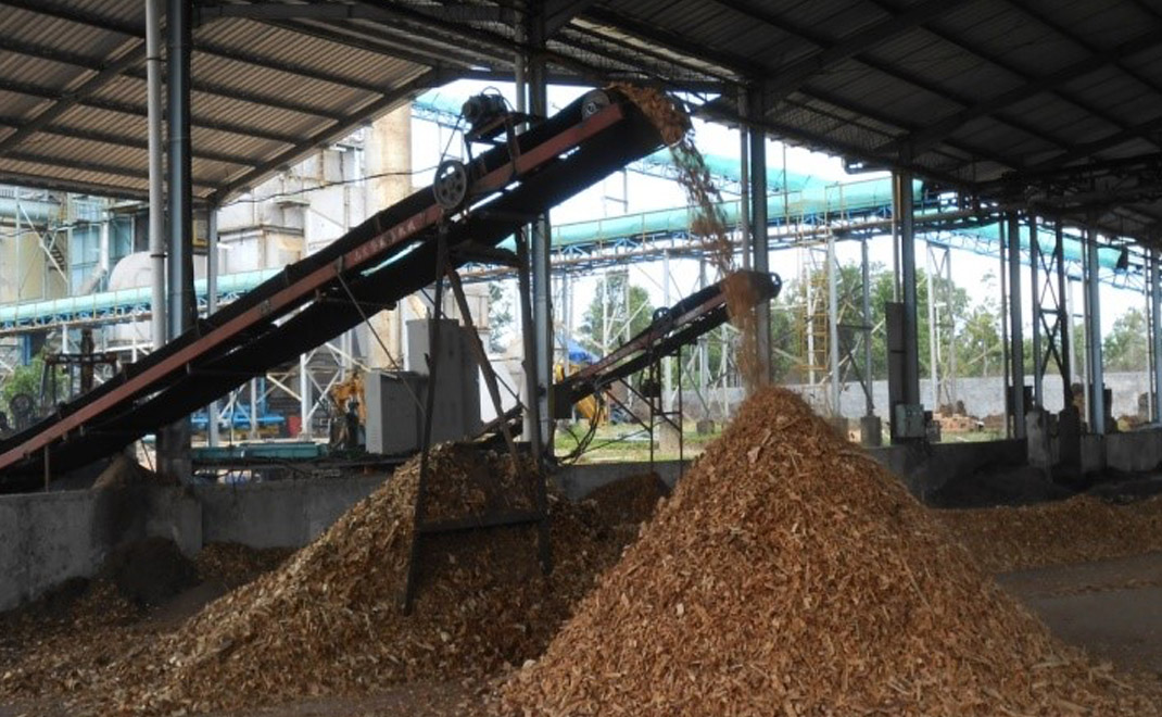 Mengolah biomassa (Foto: Bambang Hero Saharjo)