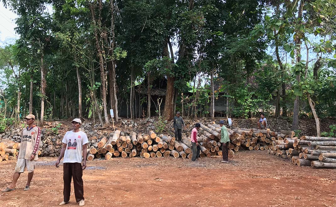 Sebuah tempat penampungan kayu dari hutan rakyat di Gunung Kidul (Foto: Dok. FD)