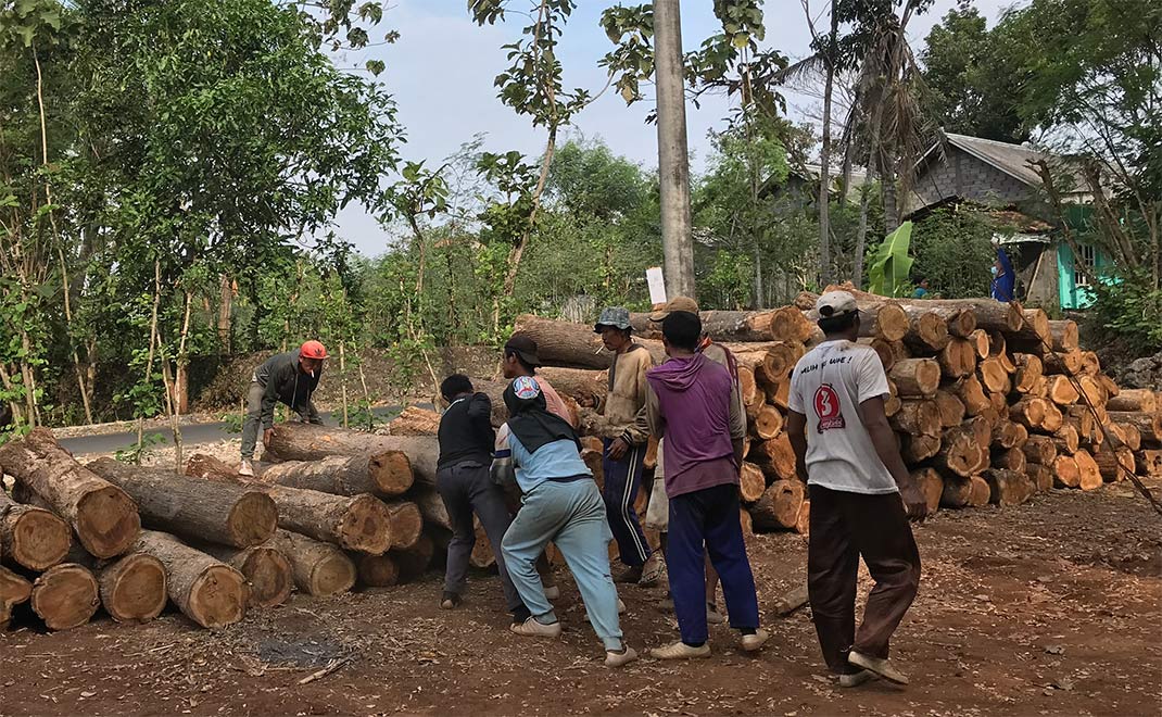 Penduduk di Gunung Kidul sedang mengangkut kayu jati yang mereka panen dari areal KPH Yogyakarta. Skema perhutanan sosial membuat mereka bisa memanen kayu dari hutan negara (Foto: Dok. FD)