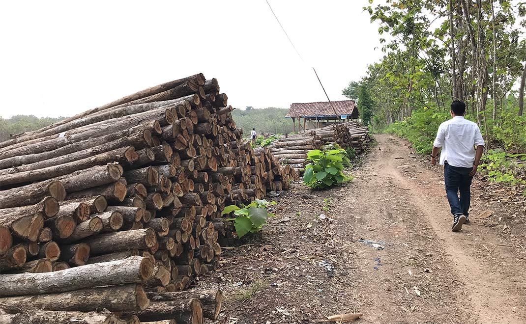 Tumpukan kayu jati di wilayah KPH Yogyakarta, Gunung Kidul (Foto: Dok. FD)