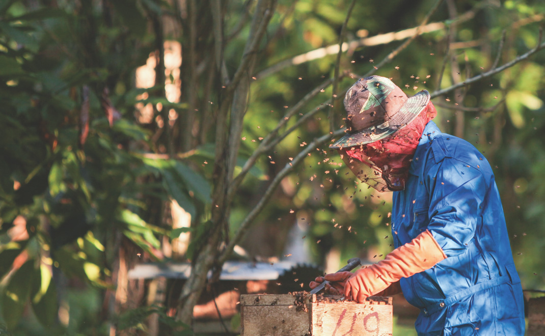 Petani madu perhutanan sosial di Parigi, KPH Moutong, Sulawesi Tengah (Foto: R. Eko Tjahjjono/FD)