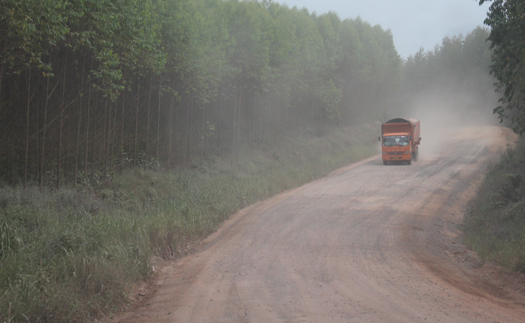 Hutan produksi di Jambi yang terlintasi jalan tambang (Foto: Dok. Istimewa)