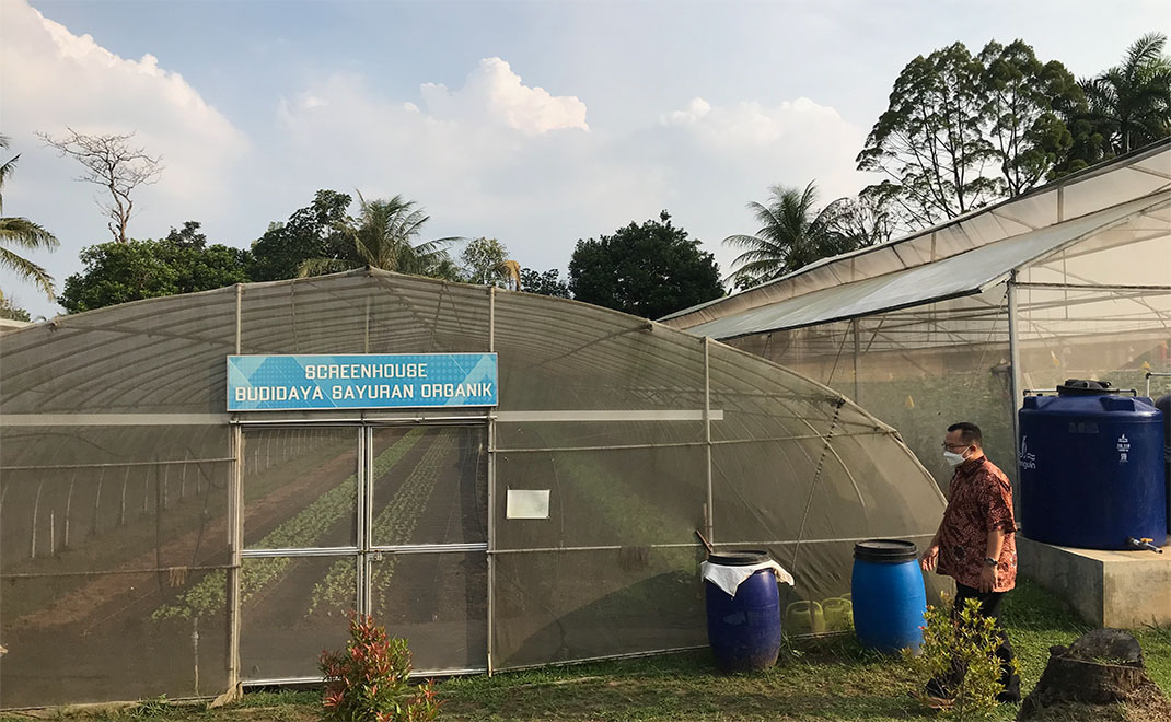 Rektor IPB Arif Satria saat meninjau greenhouse pertanian modern di kompleks IPB University Kampus Darmaga (Foto: Dok. Forest Digest)