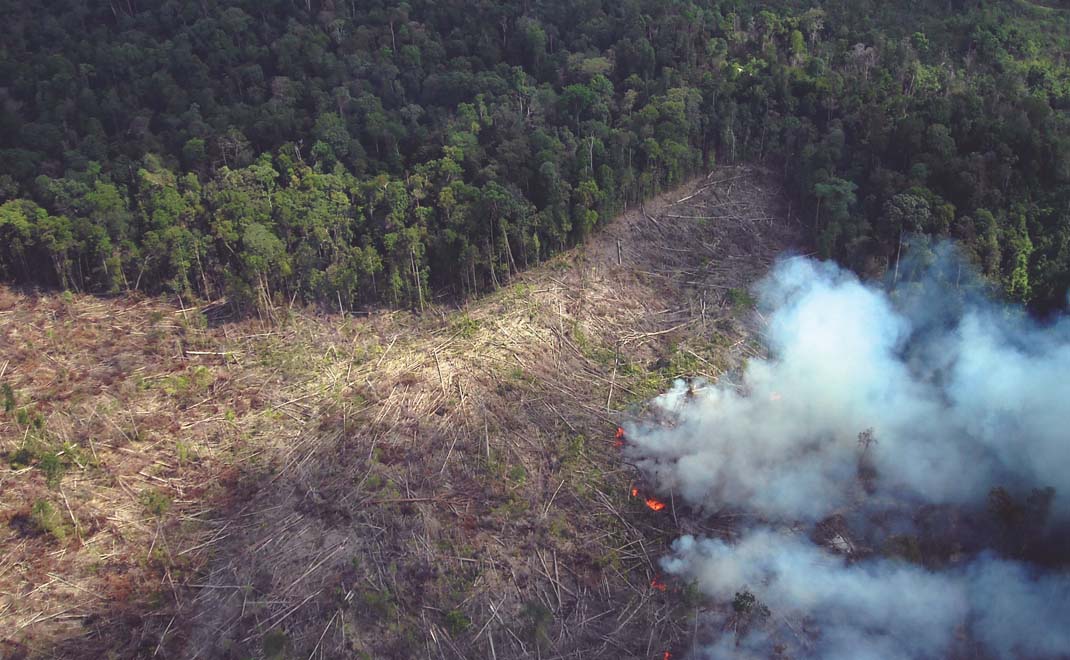 Kebakaran hutan di Jambi (Foto: Asep Ayat/FD)