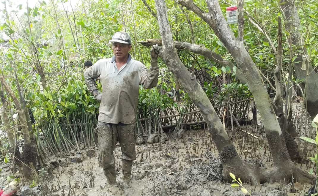Nelayan Kota Tarakan saat menanam mangrove di pesisir pantai (Foto: Swary Utami Dewi)