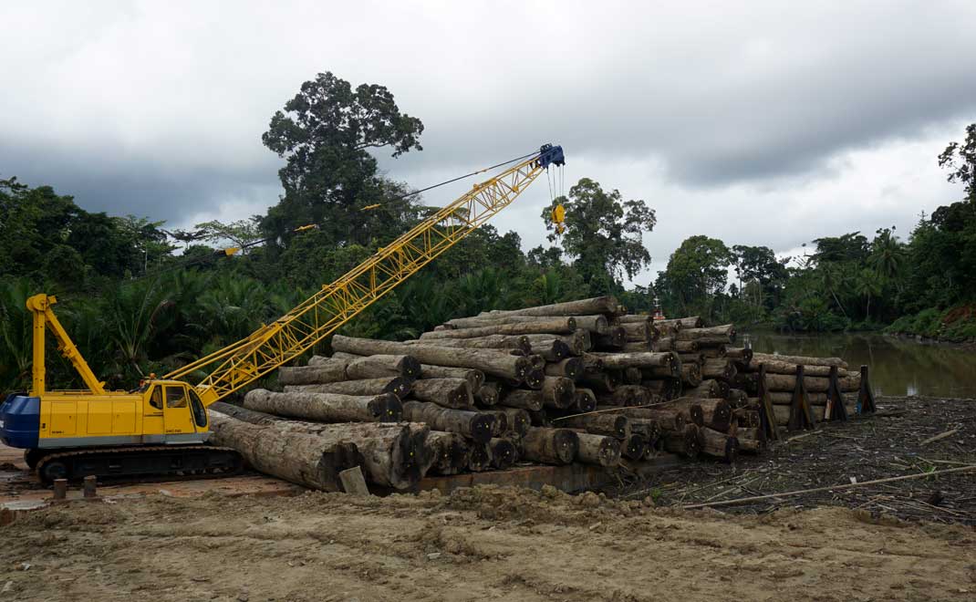 Pelabuhan angkut kayu HPH di Papua (Foto: Istimewa)
