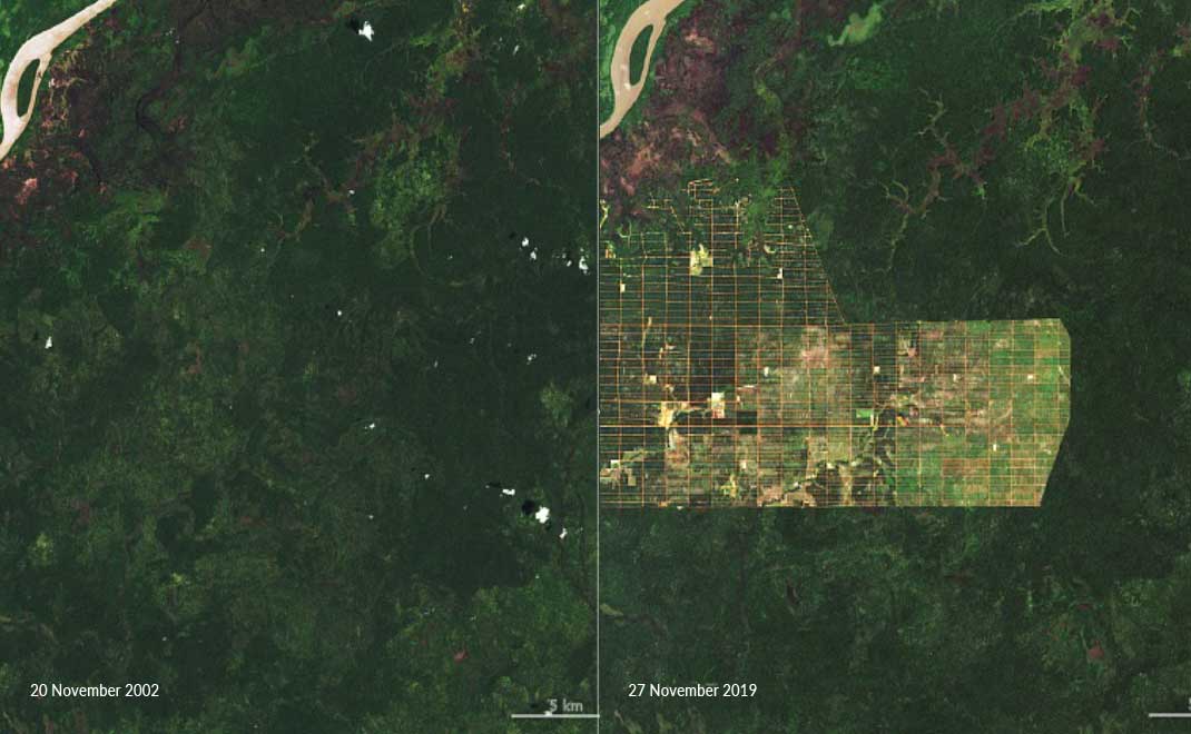 Deforestasi Papua 2002-2019 (Foto: NASA)