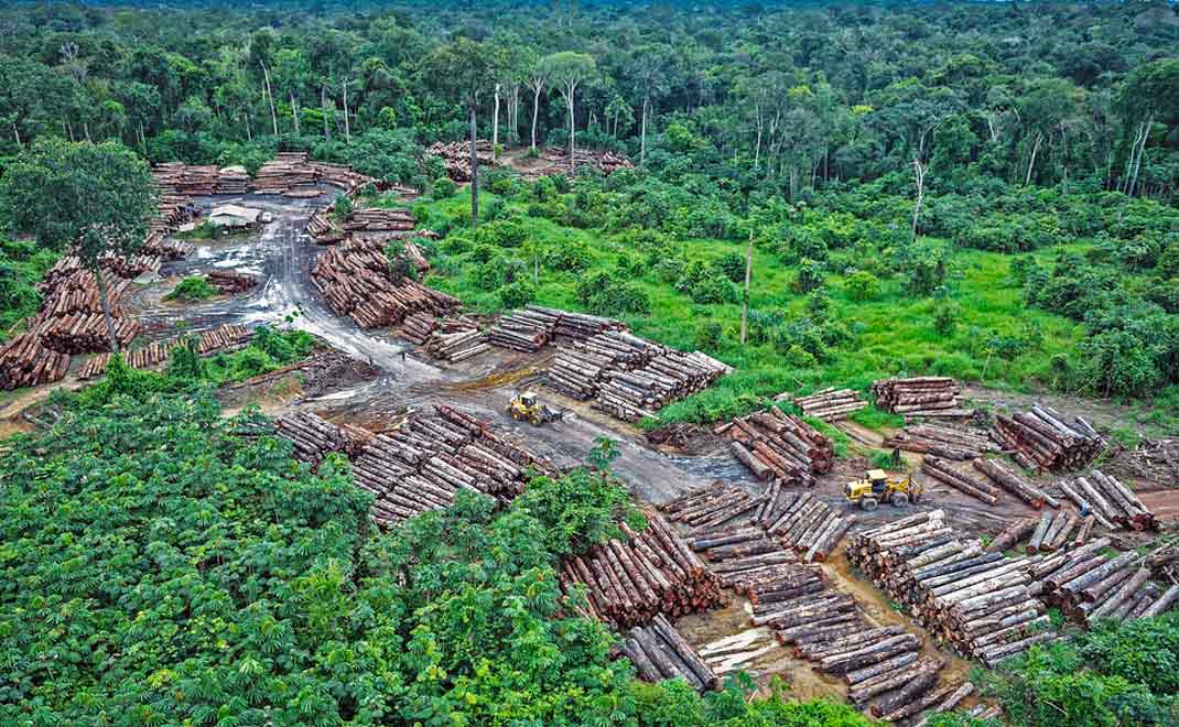 Deforestasi hutan Amazon di Brasil (Foto: Felipe Werneck/Filckr)