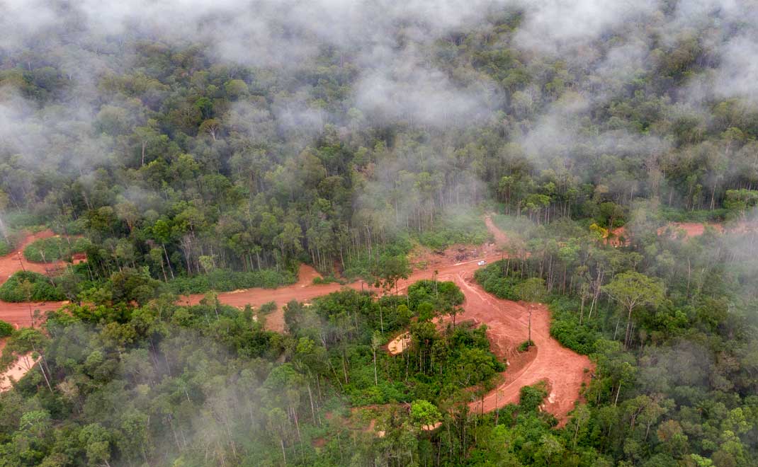 Pembukaan jalan di areal konsesi hutan Papua (Foto: Forest Watch Indonesia)