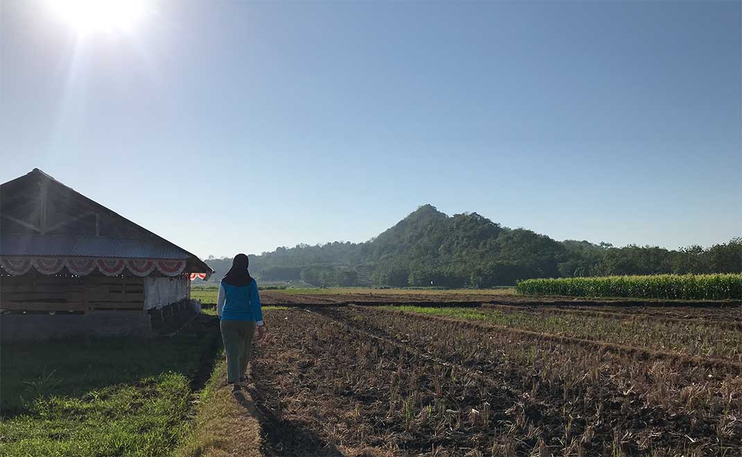 Lahan pertanian tadah hujan (Foto: Dok. FD)