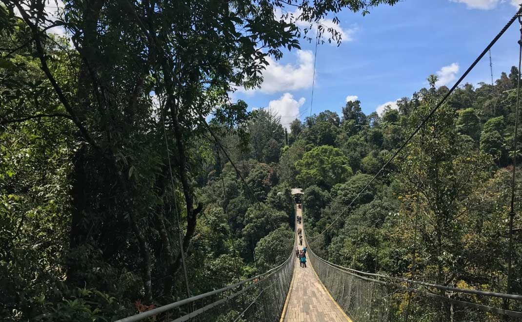 Jembatan gantung (suspension bridge) Situ Gunung di Taman Nasional Gunung Gede-Pangrango (Foto: Dok. FD)