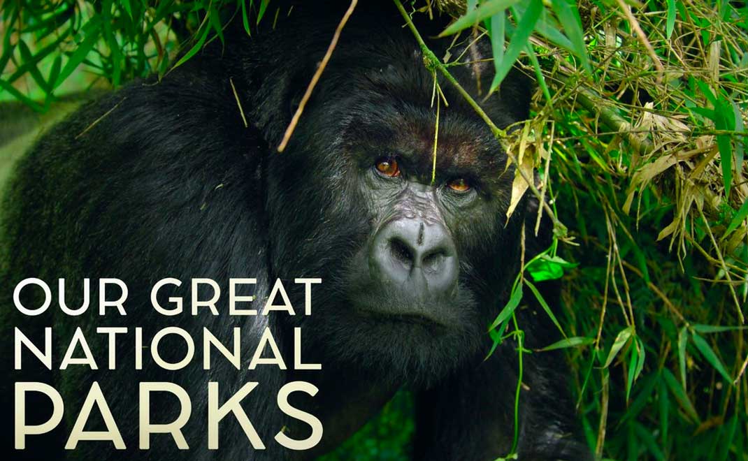 Our great national parks (Foto: Netflix)