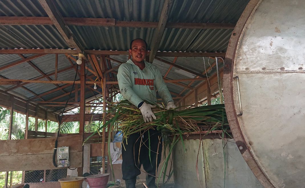 Charles Nadeak sedang memasukan sereh wangi kedalam tungku penyulingan di rumah produksi KTH Bina Sejahtera, Riau (Foto: Rama Maulana/FD)