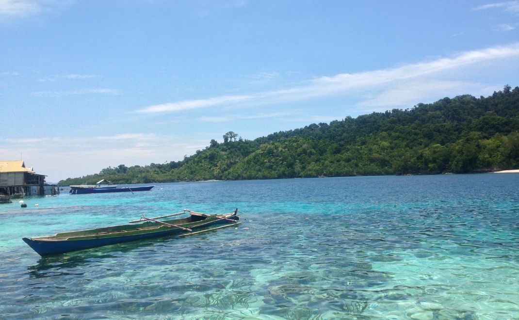 Padang lamun di Kepulauan Togean (Foto: Dok. FD)