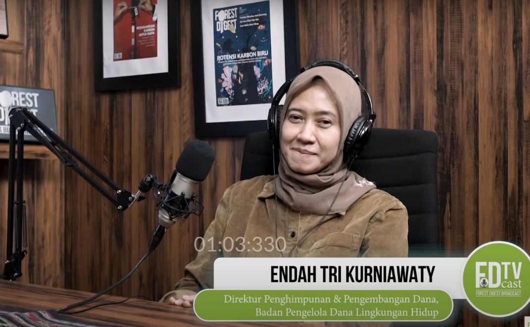 Direktur Penghimpunan dan Pengembangan Dana BPDLH Endah Tri Kurniawaty