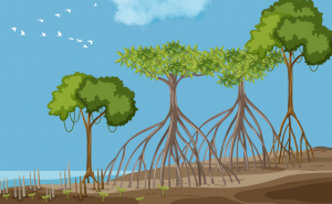Pemulihan mangrove