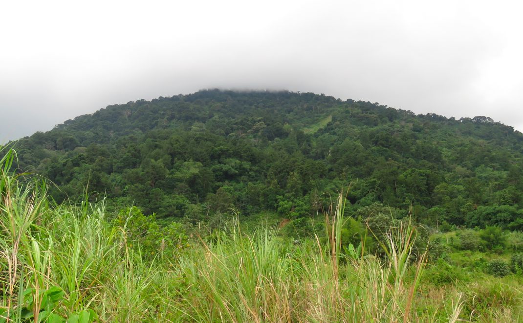 Gunung Pancar, lokasi keanekaragama hayati endemik pulau Jawa (Foto: Iyan Robiansyah)