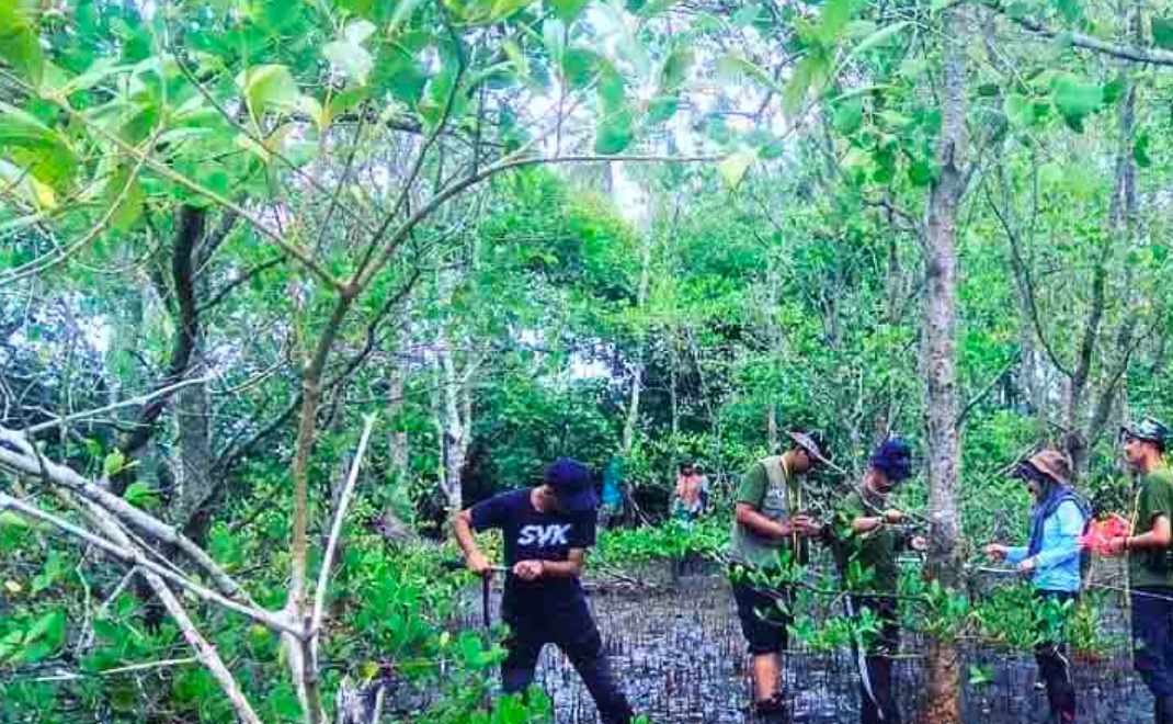 Mahasiswa Fakultas Kehutanan IPB sedang praktik lapang di hutan mangrove, Leuweung Sancang, Garut.