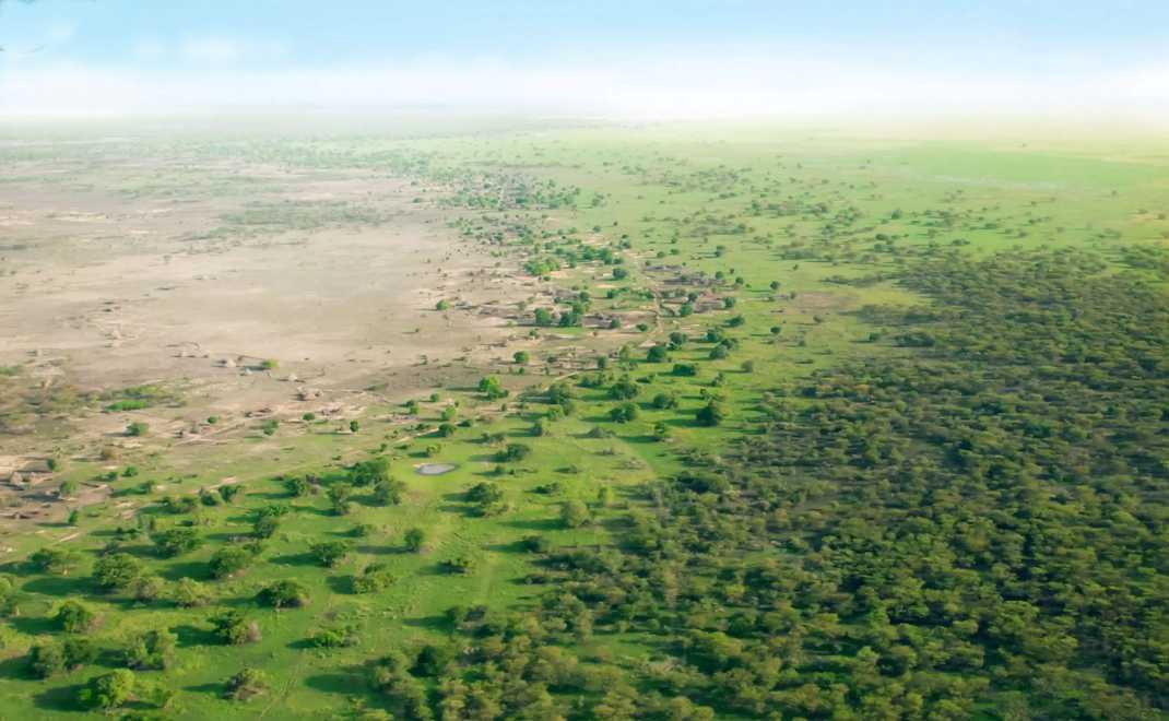 Great Green Wall adalah salah satu project untuk menghutankan gurun (foto: UNCCD)