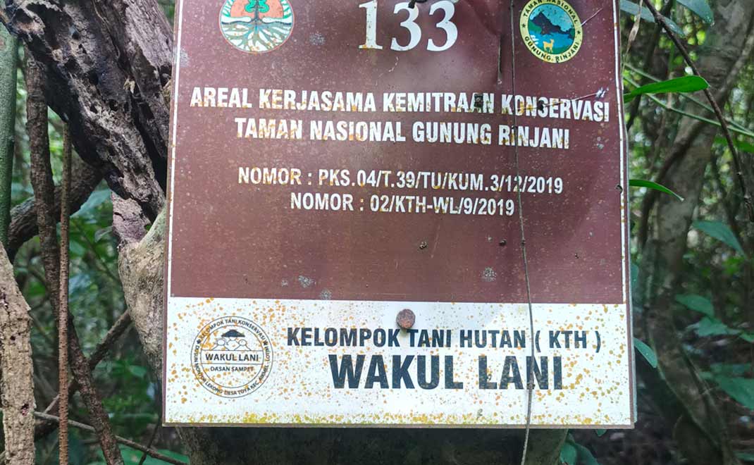 Kemitraan konservasi Wakul Lani di Taman Nasional Gunung Rinjani (Foto: Marcellinus Utomo)